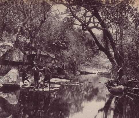 Foto met onderschrift: In het oerwoud, Zuid-Afrikaansch missiegebied van de paters van Mariannhill.