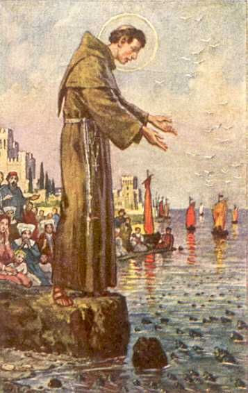 Nederland. Onderschrift: De H. Antonius predikt voor de visschen.