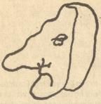 Caricaturaal zelfportret van Erasmus.