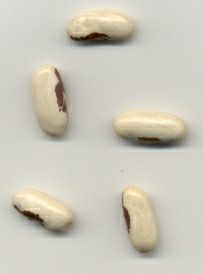 Heilige Boontjes (engelmotief) Zie volgende afbeelding voor uitleg...
