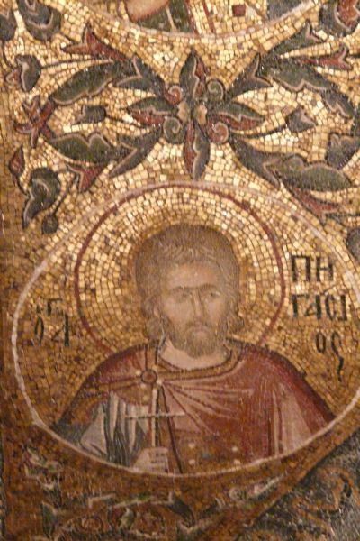 Pegasius.
