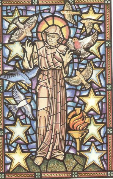 (Martin WALLACE 'Celtic Saints', Ierland, Belfast, Apple Tree).